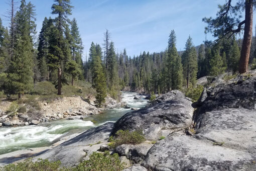 California mystery: Autopsy fails to reveal cause of death for family and dog found dead on hiking trial