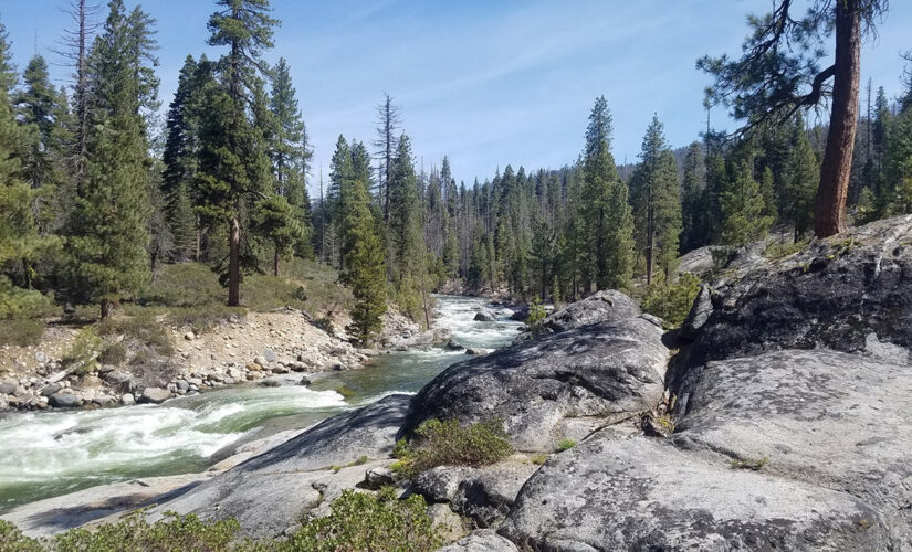 California family of 3 and their dog found dead in remote hiking area in state