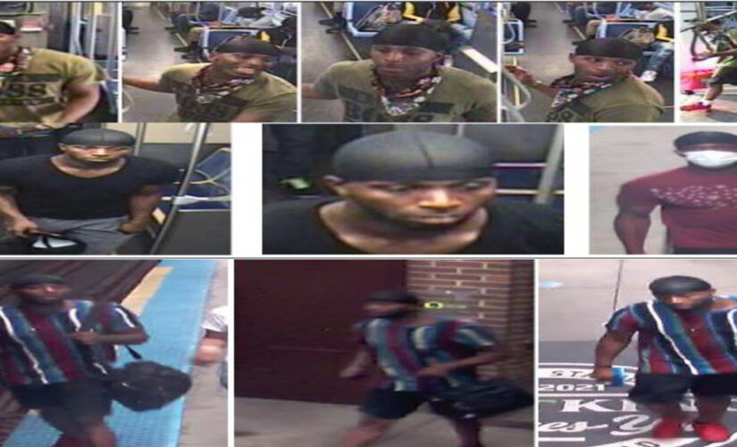Chicago police hunt hammer-wielding suspect wanted in string of attacks on subway, bus riders