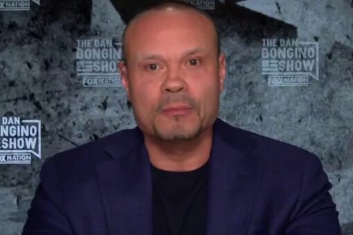 Dan Bongino rips left-wing crime policies on ‘Fox & Friends’: ‘How can they be so stupid?’
