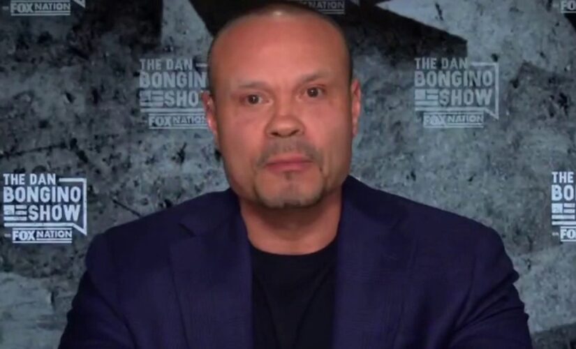 Dan Bongino rips left-wing crime policies on ‘Fox & Friends’: ‘How can they be so stupid?’