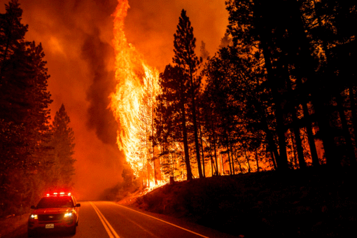Ex-professor accused of arson ‘spree’ near California’s Dixie Fire