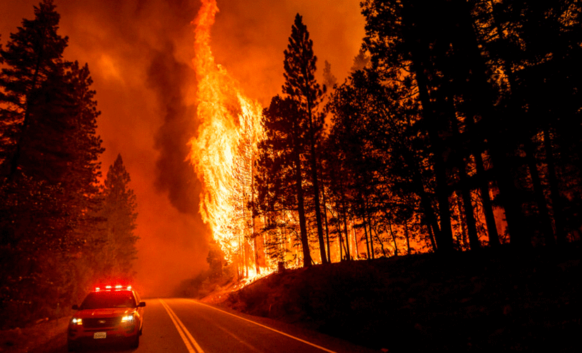 Ex-professor accused of arson ‘spree’ near California’s Dixie Fire
