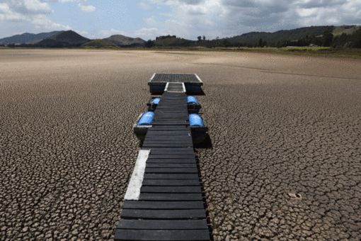 Scientists challenge ‘alarm bells’ in IPCC climate change report: ‘Not the end of the world’