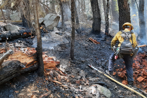 Bikini-clad California woman ‘covered in scratches’ admits to starting fire near Tahoe, authorities say