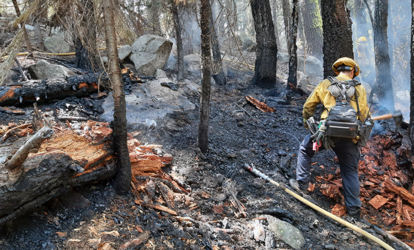 Bikini-clad California woman ‘covered in scratches’ admits to starting fire near Tahoe, authorities say