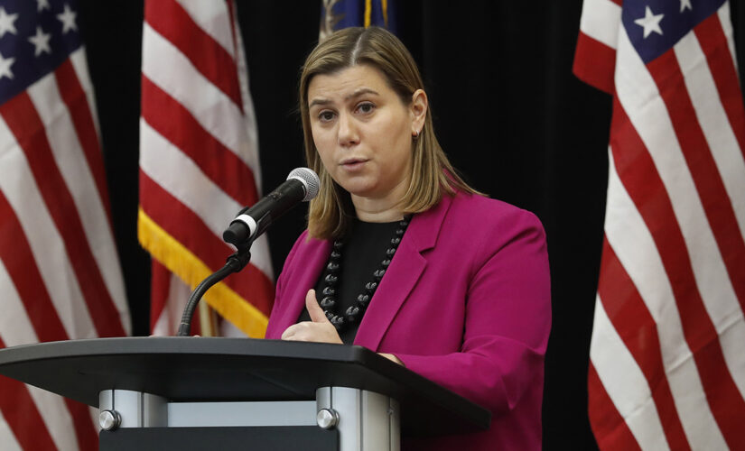 Michigan Dem’s aide linked to critical race theory push