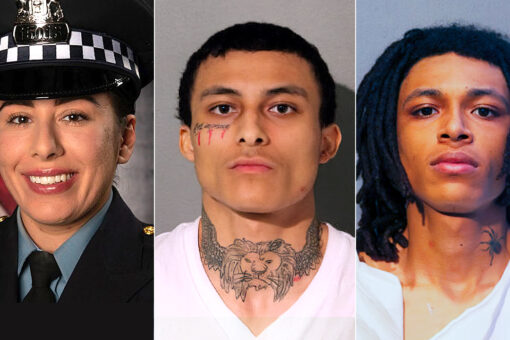 Mother of brothers charged in fatal shooting of Chicago Police Officer Ella French is arrested, police say