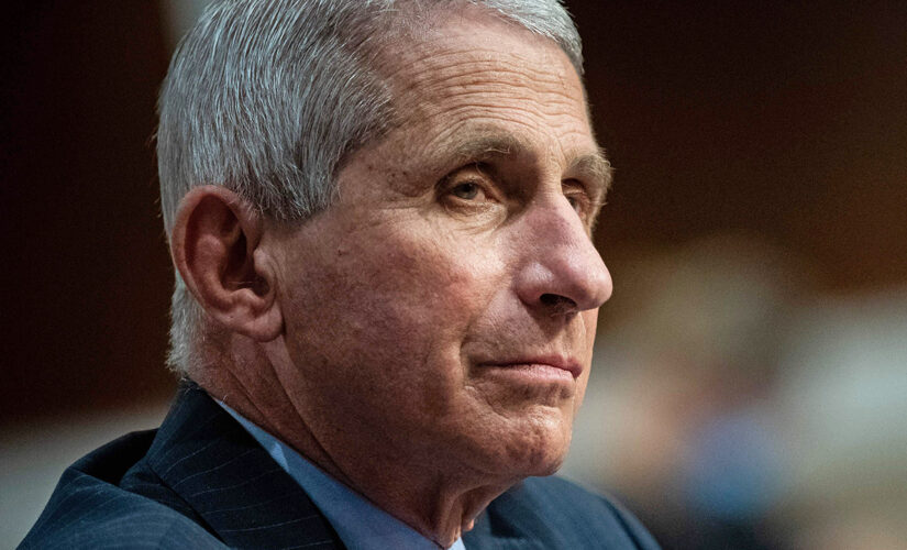 Fauci warns more severe COVID-19 variant could emerge as cases rise: US ‘could really be in trouble’