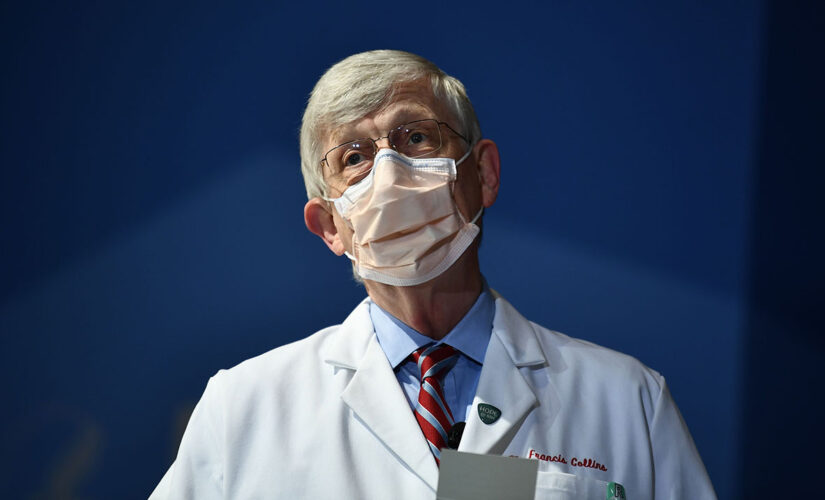 NIH Director Collins: Masks on children under 12 ‘is a really smart thing to do’