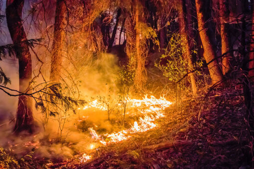 California fires close in on communities as smoke chokes Lake Tahoe