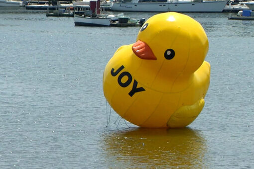 Mysterious giant rubber duck in Maine harbor disappears