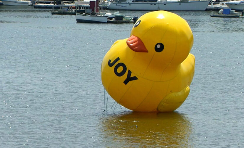 Mysterious giant rubber duck in Maine harbor disappears