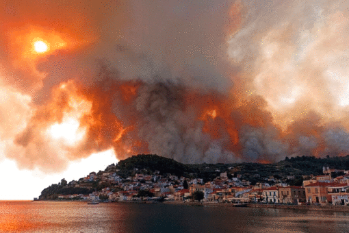 Last month was worst July for global wildfires since 2003: report