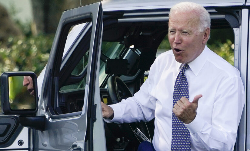 As Biden pushes green cars, activist has lead role in highway safety agency