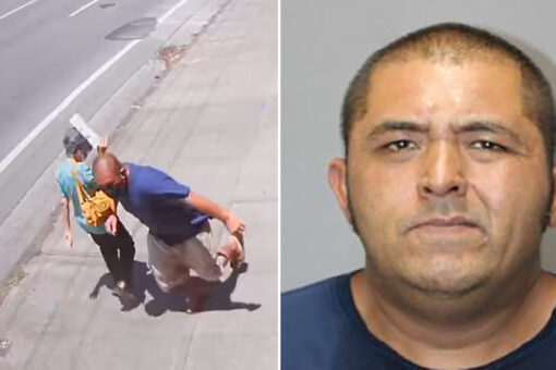 Hawaii man arrested for random, daylight assault on elderly woman caught on tape
