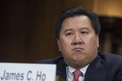 Trump-appointed appeals court judge slams critical race theory in Texas discrimination case