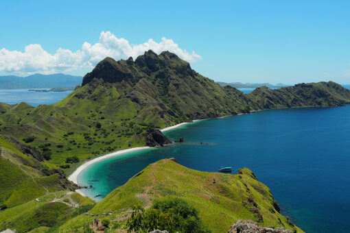 Indonesia building its own ‘Jurassic Park’ despite warnings