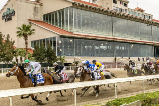 Horse trainer pleads guilty in racehorse-drugging scheme, to pay over $25M restitution
