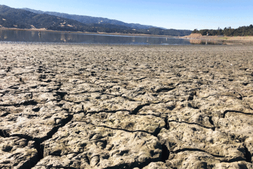 Drought-stricken California town to tourists: ‘Please conserve’