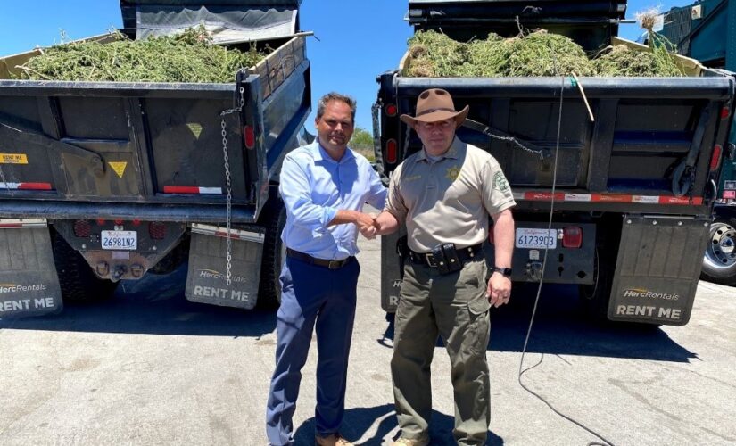 Rep. Mike Garcia: Black market pot, our open border, lax law enforcement – how we fought back in my district