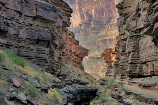 Oregon man dies after falling 50 feet in Grand Canyon National Park