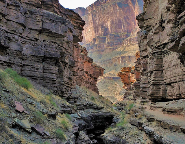 Oregon man dies after falling 50 feet in Grand Canyon National Park