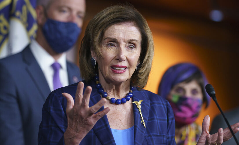 Democrats seek to abolish anti-abortion Hyde Amendment – but how far are they willing to go?