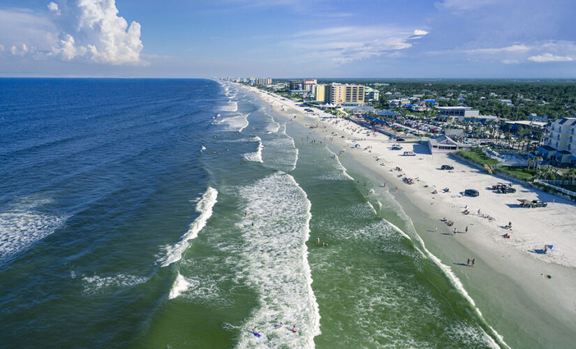 Florida man bitten by shark in knee-deep water