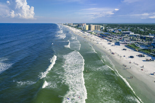 Florida man bitten by shark in knee-deep water