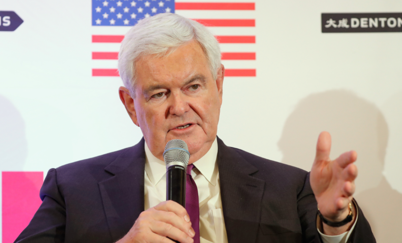 Gingrich rips Republican senators yielding to ‘phony bipartisanship’ to support ‘terrible’ infrastructure bill