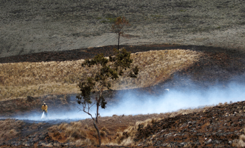 Wildfires take toll on tropical Pacific islands
