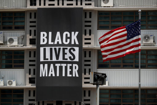 Princeton offering ‘Black Lives Matter’ course taught by professor with ‘commitment’ to ‘critical race theory’