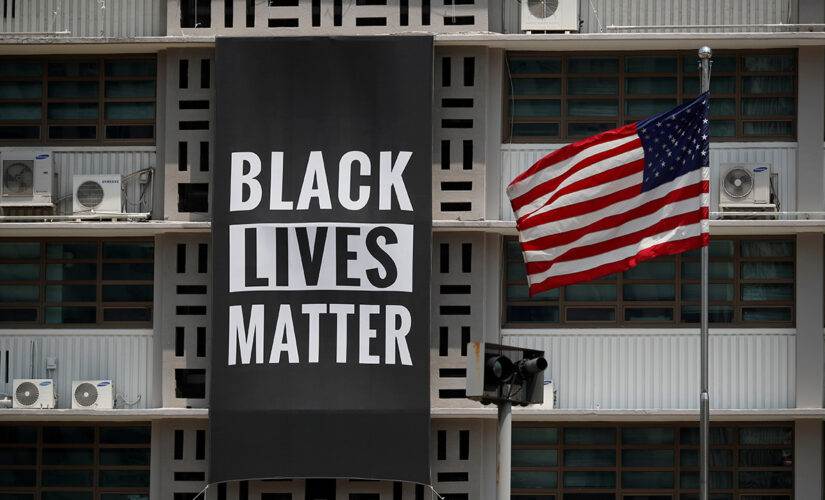 Princeton offering ‘Black Lives Matter’ course taught by professor with ‘commitment’ to ‘critical race theory’