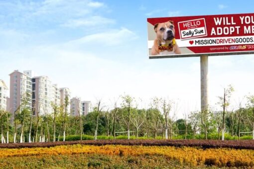 Billboard advertises elderly dog who’s been in shelter for 2 years