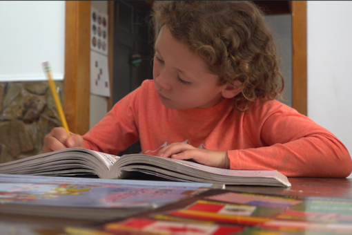 Homeschooling spike expected to continue during COVID-19 pandemic, even as schools reopen