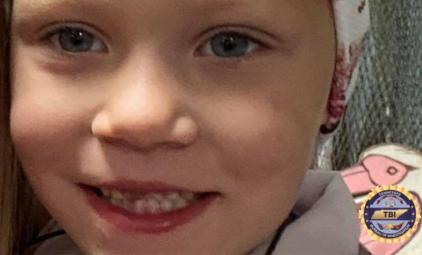 Missing Tennessee girl Summer Wells: No psychics needed in search, sheriff says