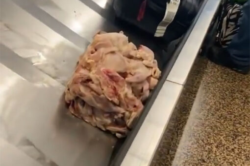 Pile of raw chicken on airport luggage carousel prompts warning from TSA