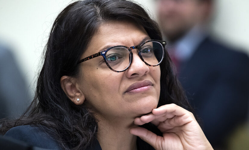 ADL prez accuses Tlaib of ‘antisemitic dog whistling’ for remarks ripping those profiting ‘behind the curtain’