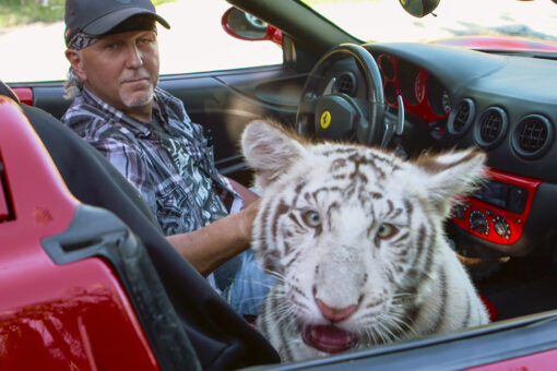 Remaining animals at ‘Tiger King’ zoo to be turned over to Justice Department