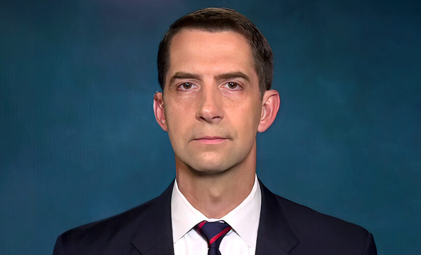 Sen. Cotton on Afghanistan attack: Biden needs to reverse course, go after terrorists who killed Americans