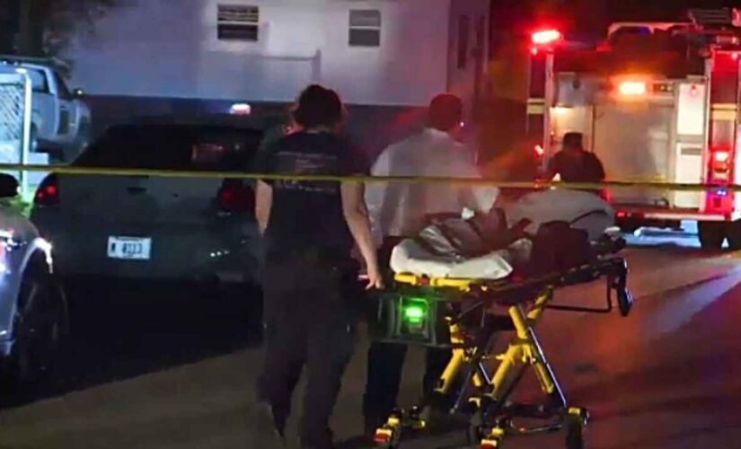 5 children killed in devastating East St. Louis fire