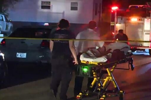 5 children killed in devastating East St. Louis fire