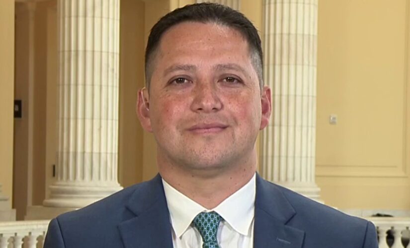 Kabul attack could spark terrorism along US-Mexico border, Texas GOP lawmaker warns