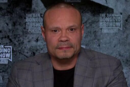 Bongino: Democrats have a ‘love affair with lying,’ need to ‘tell the American people the truth’