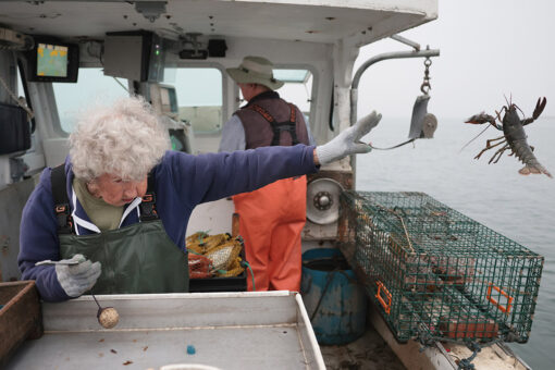 101-year-old lobsterwoman goes viral with ‘Star Wars’ fans for using ‘the Force’