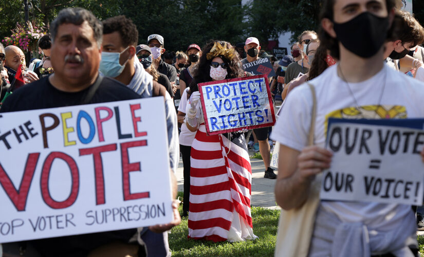 Voting rights activists flock to Washington DC to march for federal election reforms