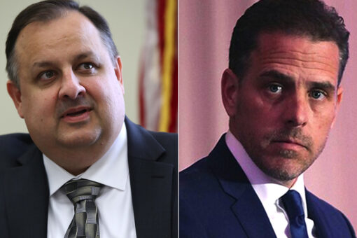 Obama ethics chief blasts Hunter Biden’s art scheme as ‘absolutely appalling’