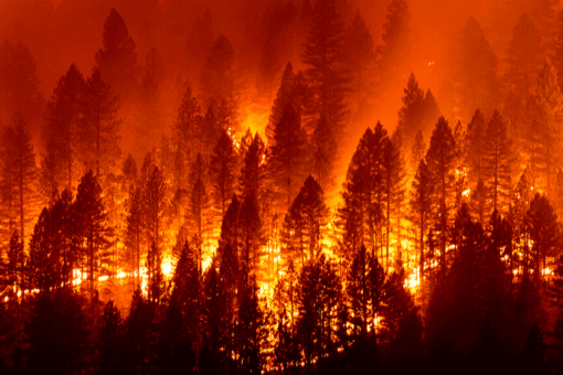 Explosive California wildfires could burn into December, experts warn