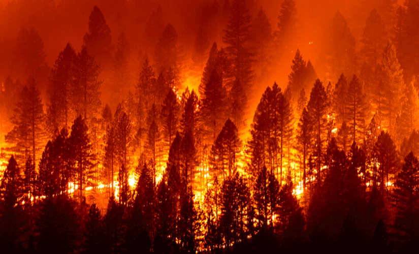 Some COVID deaths are linked to Western wildfires, study shows